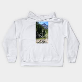Glacier National Park, Dead Tree and Mountain Kids Hoodie